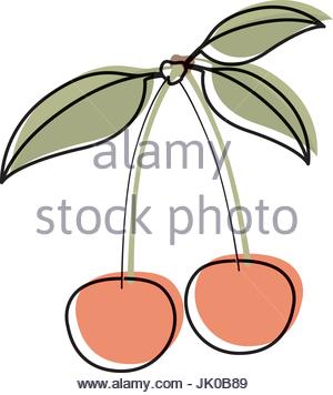 300x356 White Background Watercolor Silhouette Of Cherry Fruit