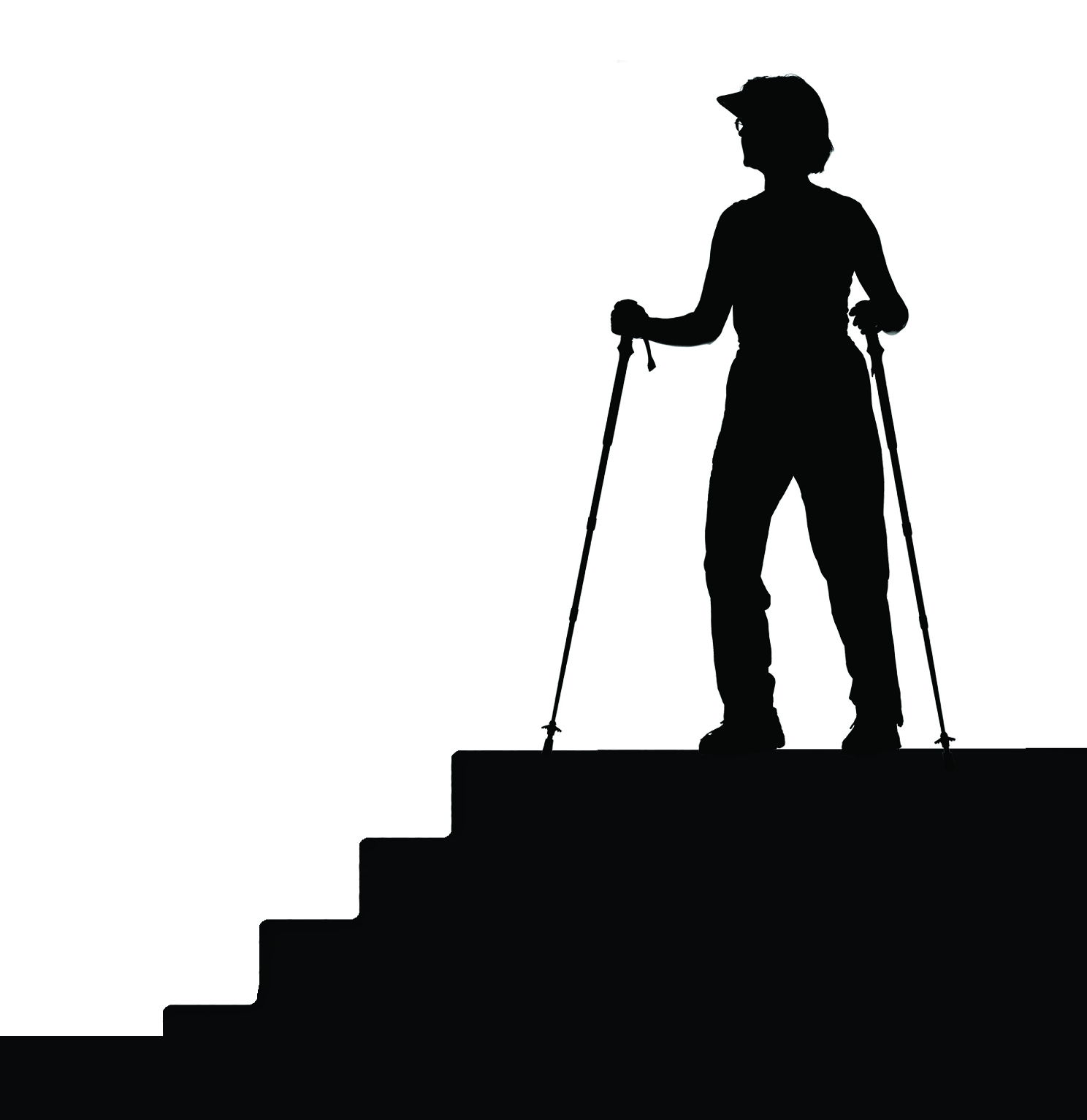 1488x1533 Poles For Mobility Media Materials Page