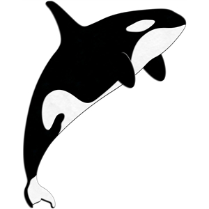 300x300 Orca Clipart Silhouette