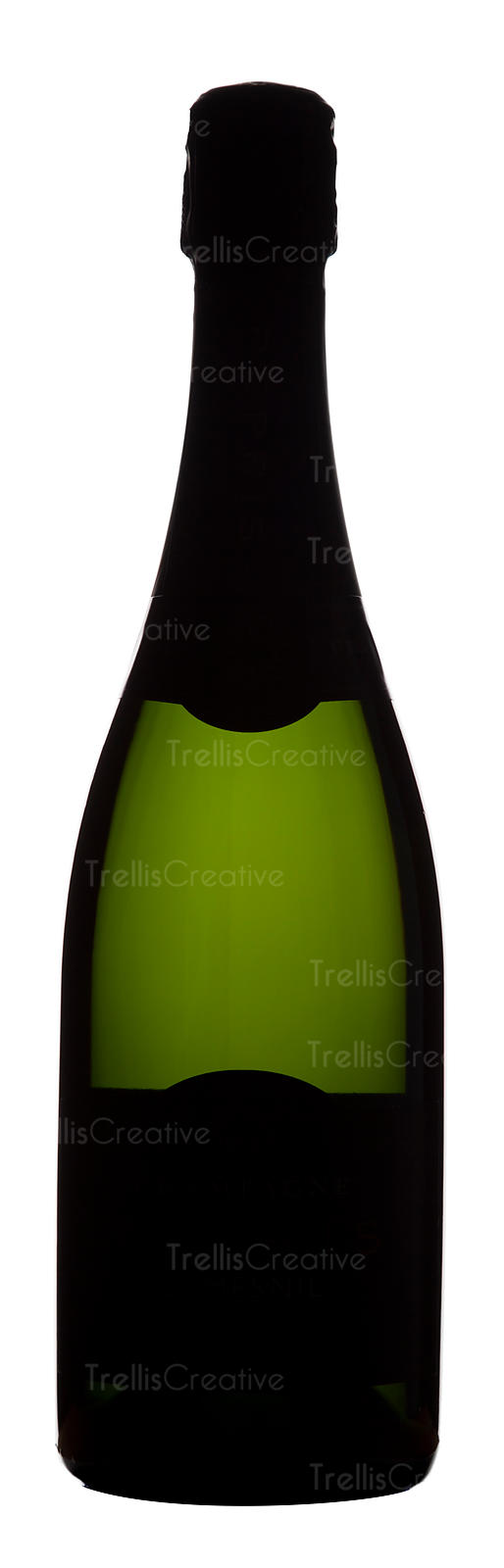 514x1600 Trellis Creative Wine Bottles