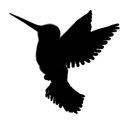 480x471 Bird Silhouette Open Wings Transparent Png