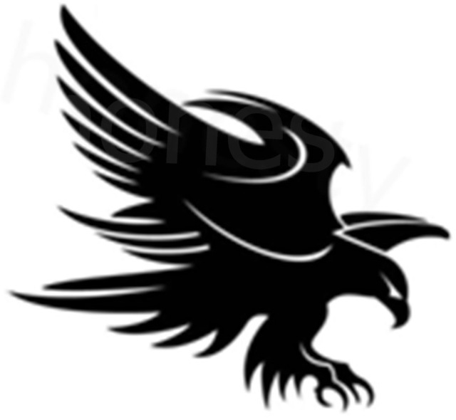 640x590 Black Brave Wings Eagle Hawflying Silhouette Truck Laptop Wall