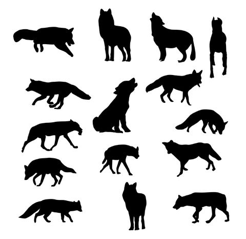 Silhouette Wolf Tattoo at GetDrawings | Free download