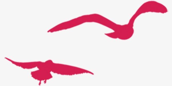 600x300 Creative Simple Red Bird Silhouette, Red, Creative, Simple Png