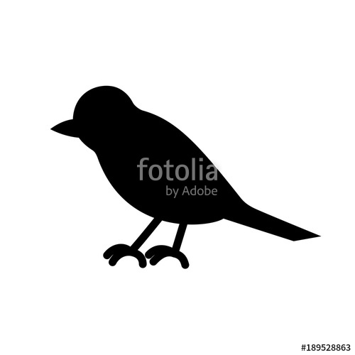 500x500 The Bird Is Black And White. Silhouette Of Magpies, Crows, Crow