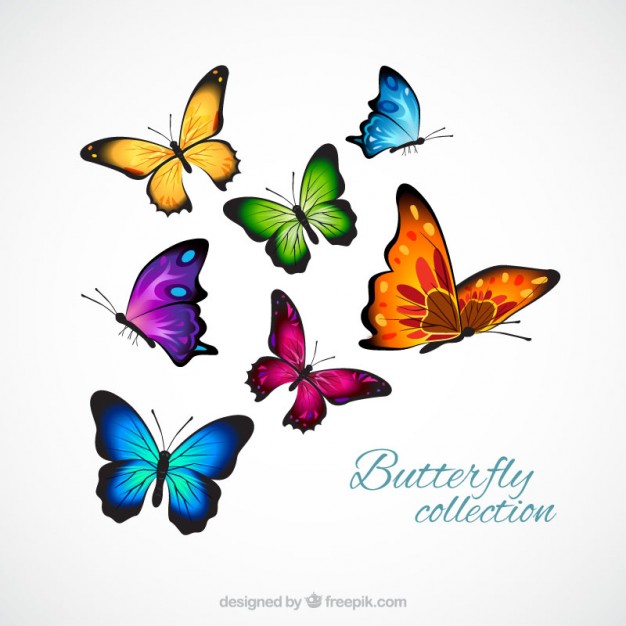 626x626 Butterfly Vector Files