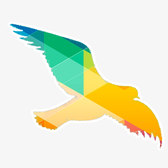 650x650 Dove Color Silhouette Material, Pigeon, Sketch, Simple Png Image