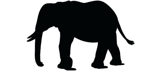538x237 Simple Elephant Outline