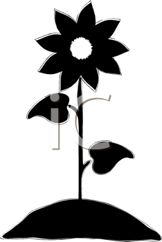 234x350 Black And White Flower