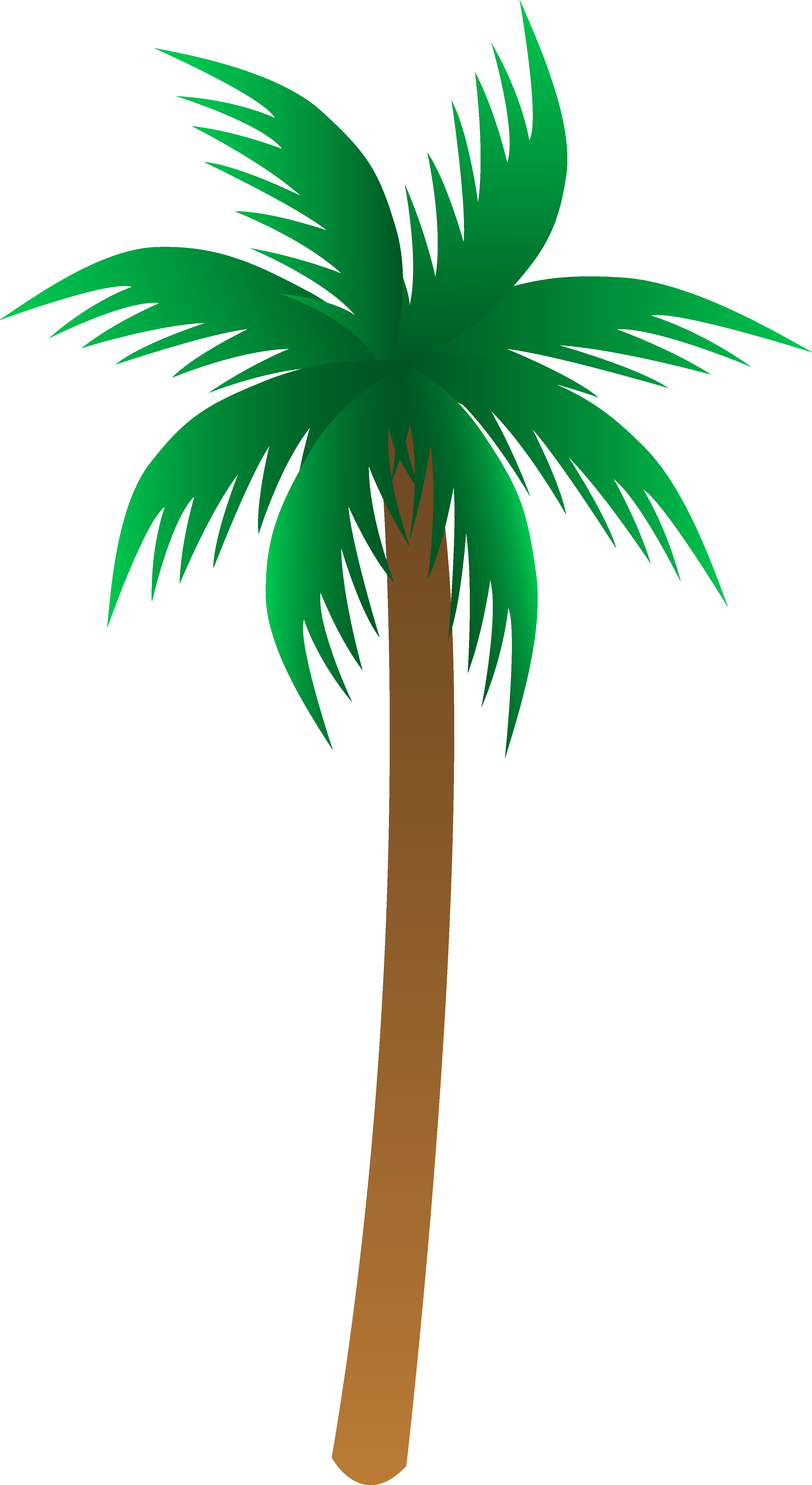 3182x5819 Free Picture Of Palm Tree, Hanslodge Clip Art Collection