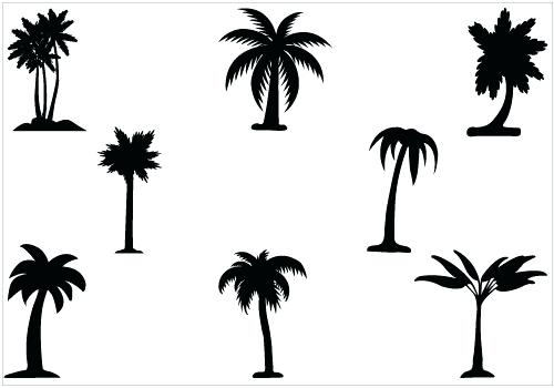 500x350 Tree Vector Design Trends Premium Leafless Tree Outline Pine Tree
