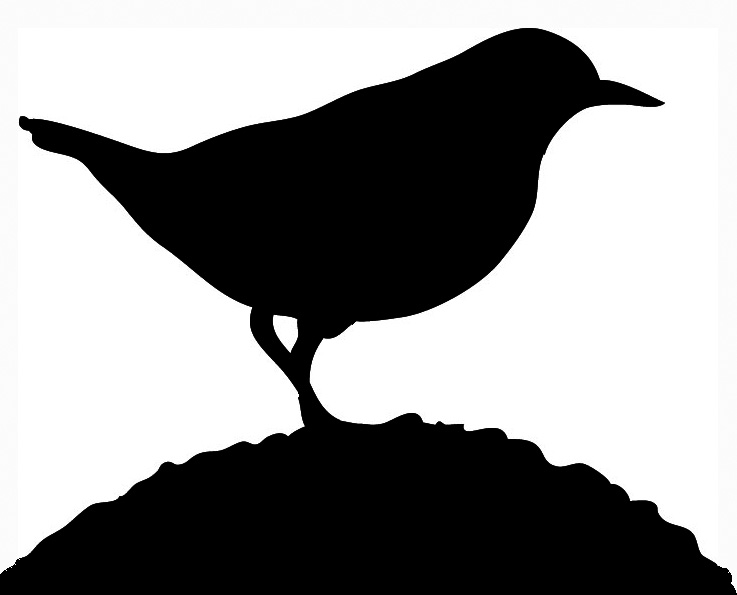 737x595 Bird Silhouettes