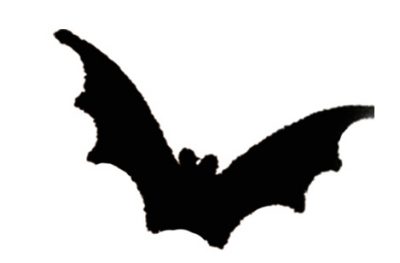 400x263 Spooktacular Haunted House Diy