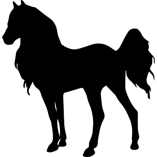 626x626 Horse Standing Young Animal Shape Of Long Hair Icons Free Download
