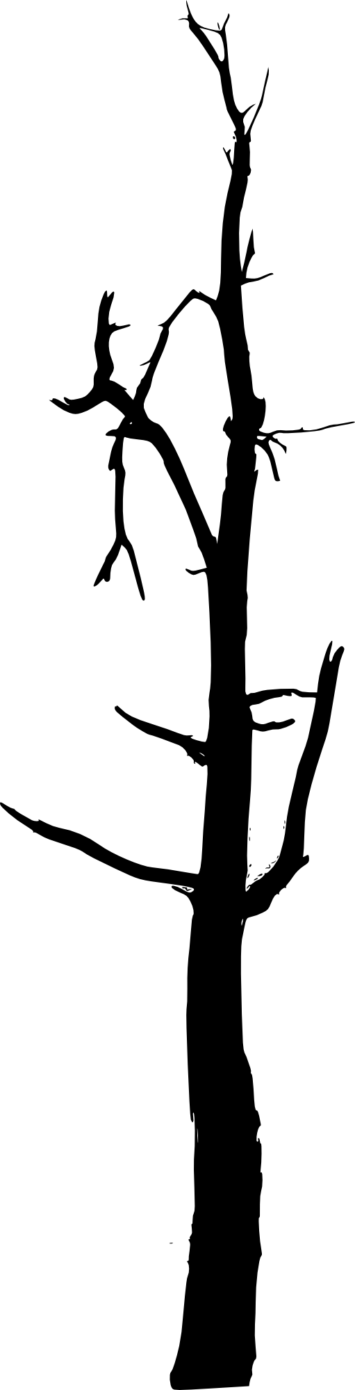 Simple Pine Tree Silhouette