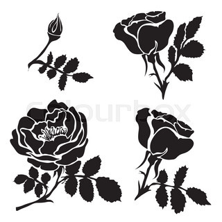 320x320 Sketch Rose Branch, Hand Drawn, Very Simple Outline With Little