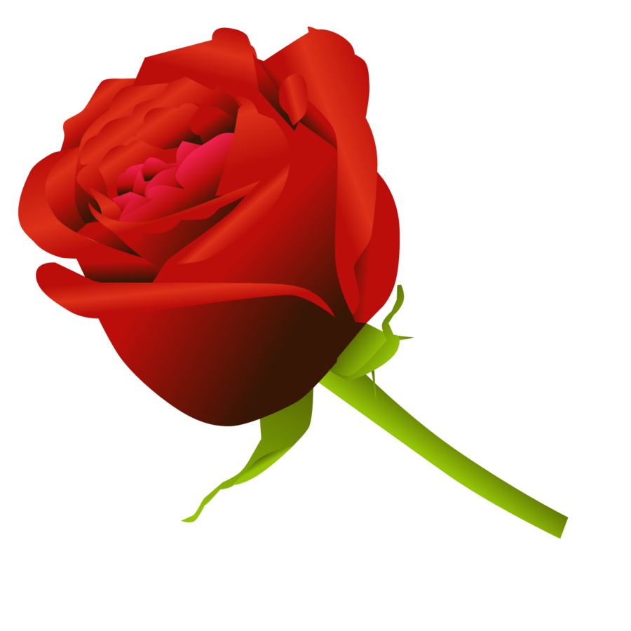900x900 17 Simple Rose Vector Images
