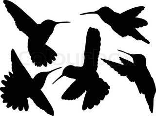 320x239 Vector Silhouette Of The Bird On Branch Stock Vector Colourbox