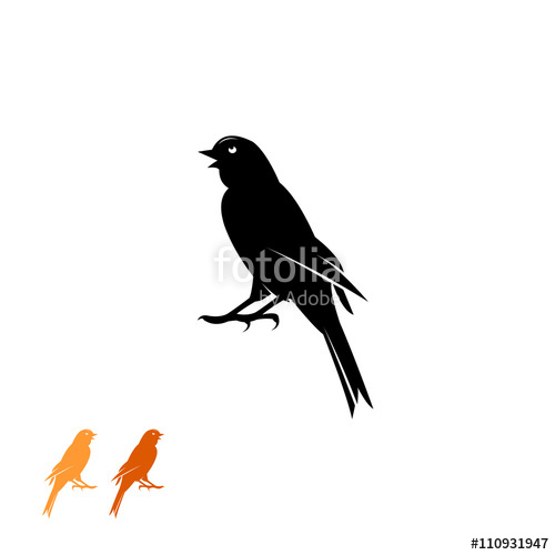 500x500 Canary Bird Singing Stock Image And Royalty Free Vector Files