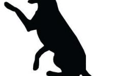 228x150 Dog To Color Coloring Page 2019