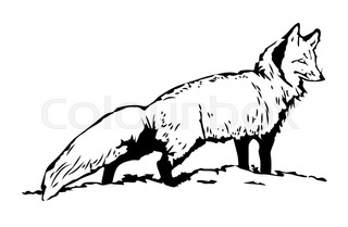 320x209 Silhouette Of Sitting Fox, Side View Stock Vector Colourbox