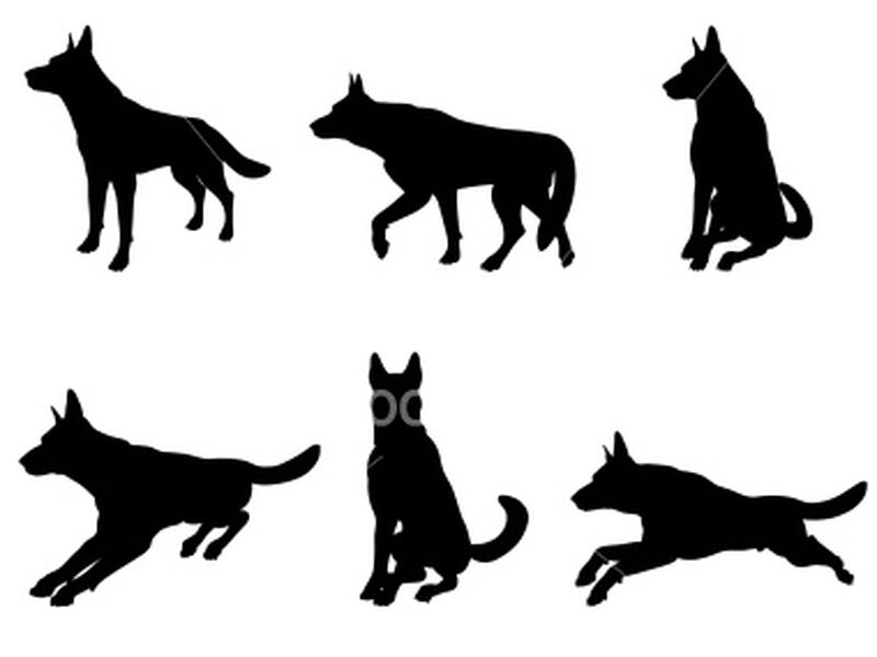 800x600 German Shepherd Profile Clipart