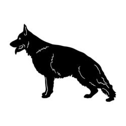 250x250 German Shepherd Zone The Top Dog Deals