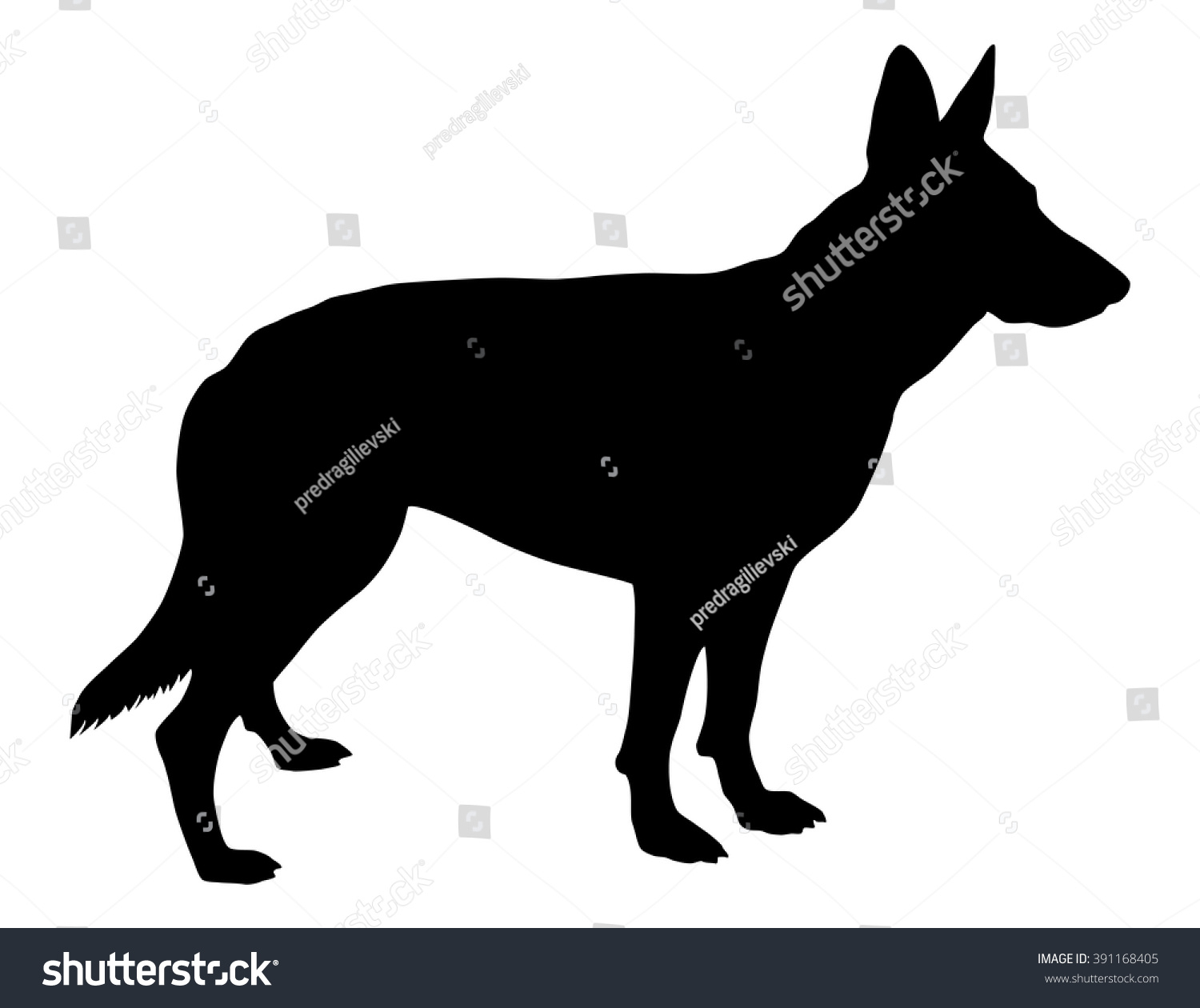 1500x1260 Interesting German Shepherd Silhouette Stock Vector 391168405