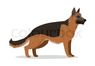 320x223 Portrait Of A Black Dog German Shepherd Breed Sitting And Smile