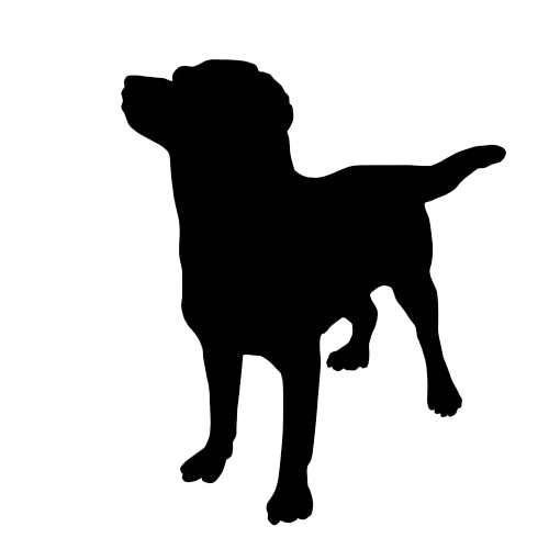 500x500 Dog Walking Amp Pet Sitting