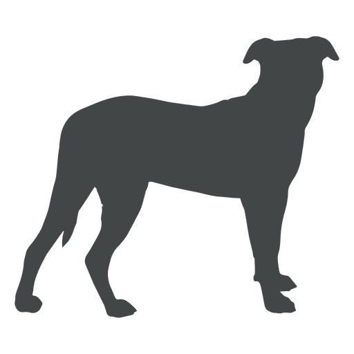 512x512 Dog Cartoon