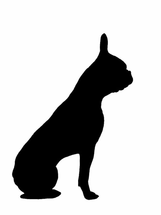 564x752 French Bulldog Clipart Silhouette Many Interesting Cliparts