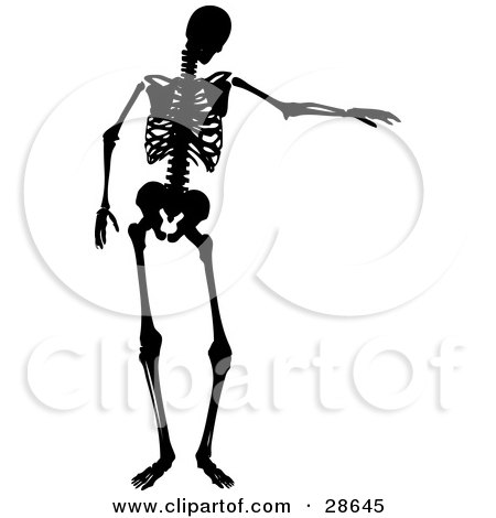 450x470 Royalty Free (Rf) Skeleton Silhouette Clipart, Illustrations
