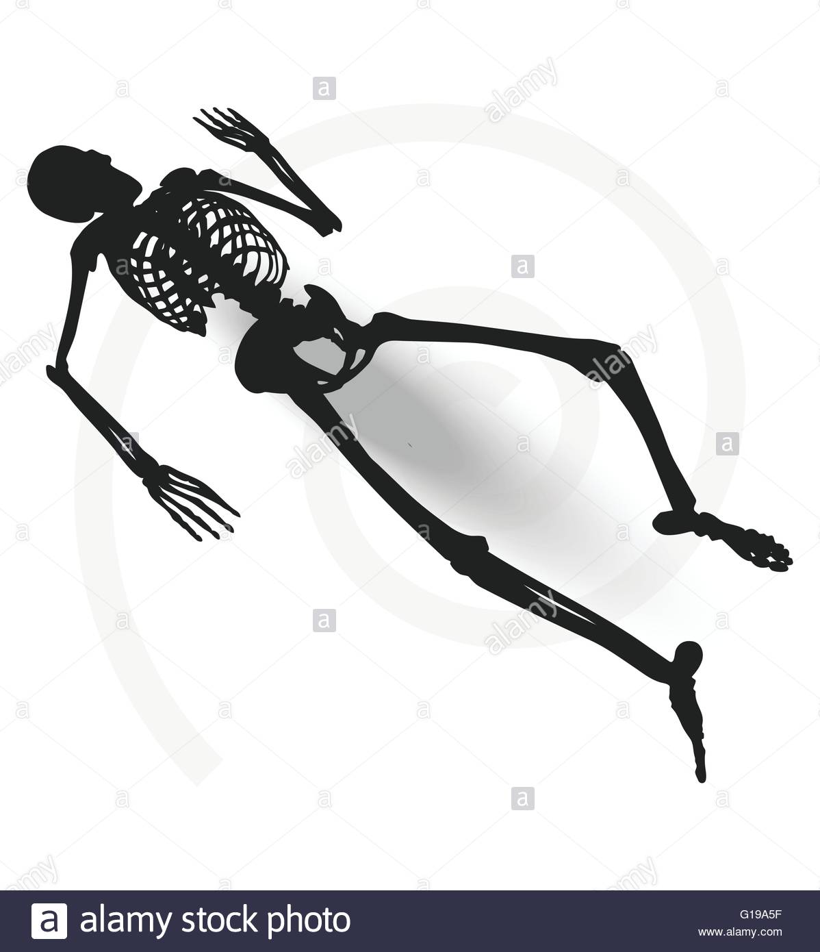 1198x1390 Vector Image