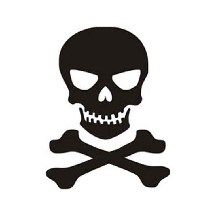 750x750 Skull N Crossbones Die Cut Vinyl Decal Pv111 Cricut, Stenciling