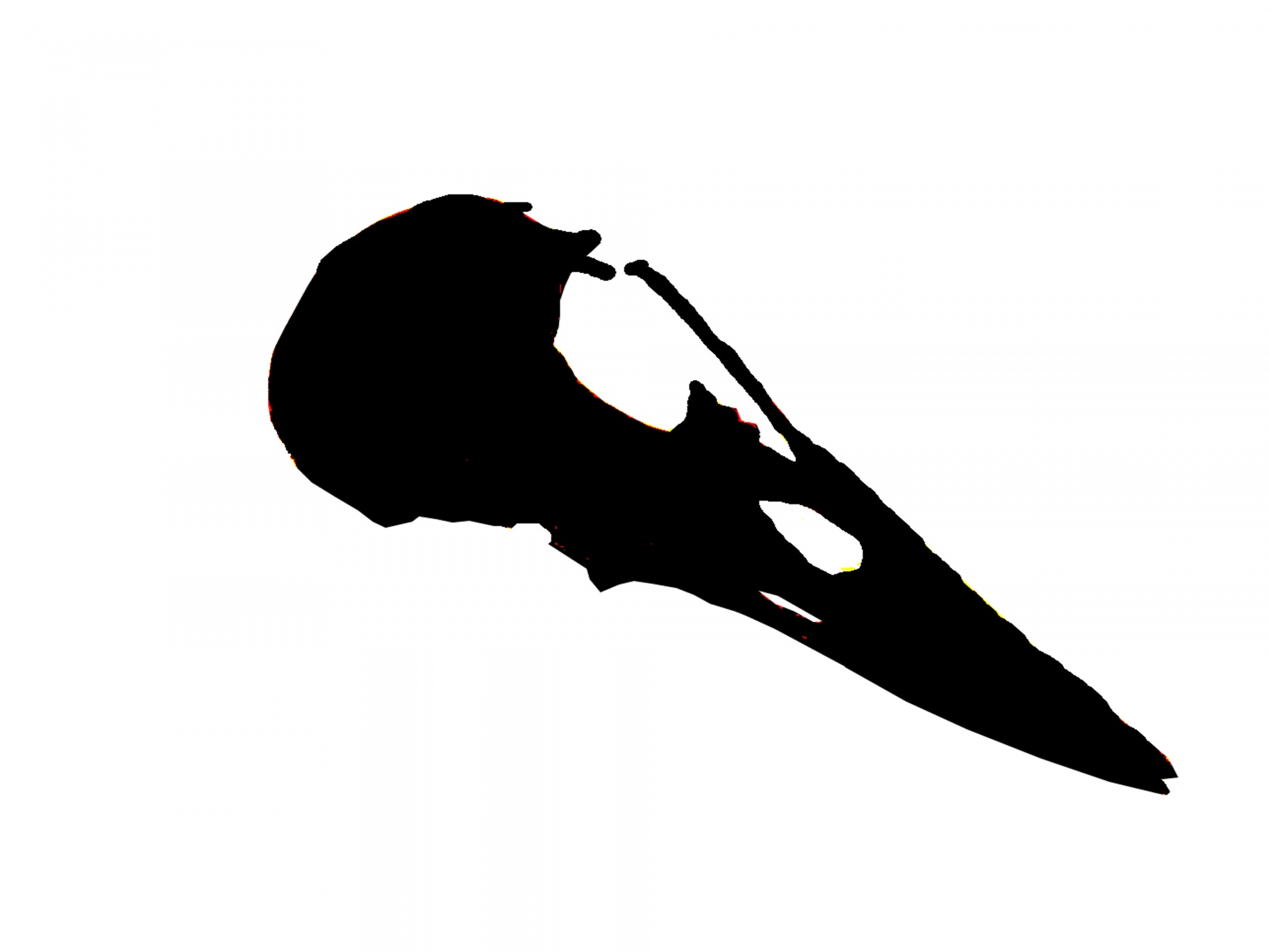 1920x1440 Skull Silhouette Free Stock Photo