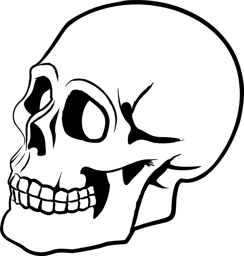 Skull Silhouette Clip Art At Getdrawings 