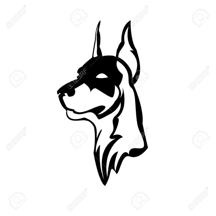 736x736 Amazing Doberman Tattoo Designs