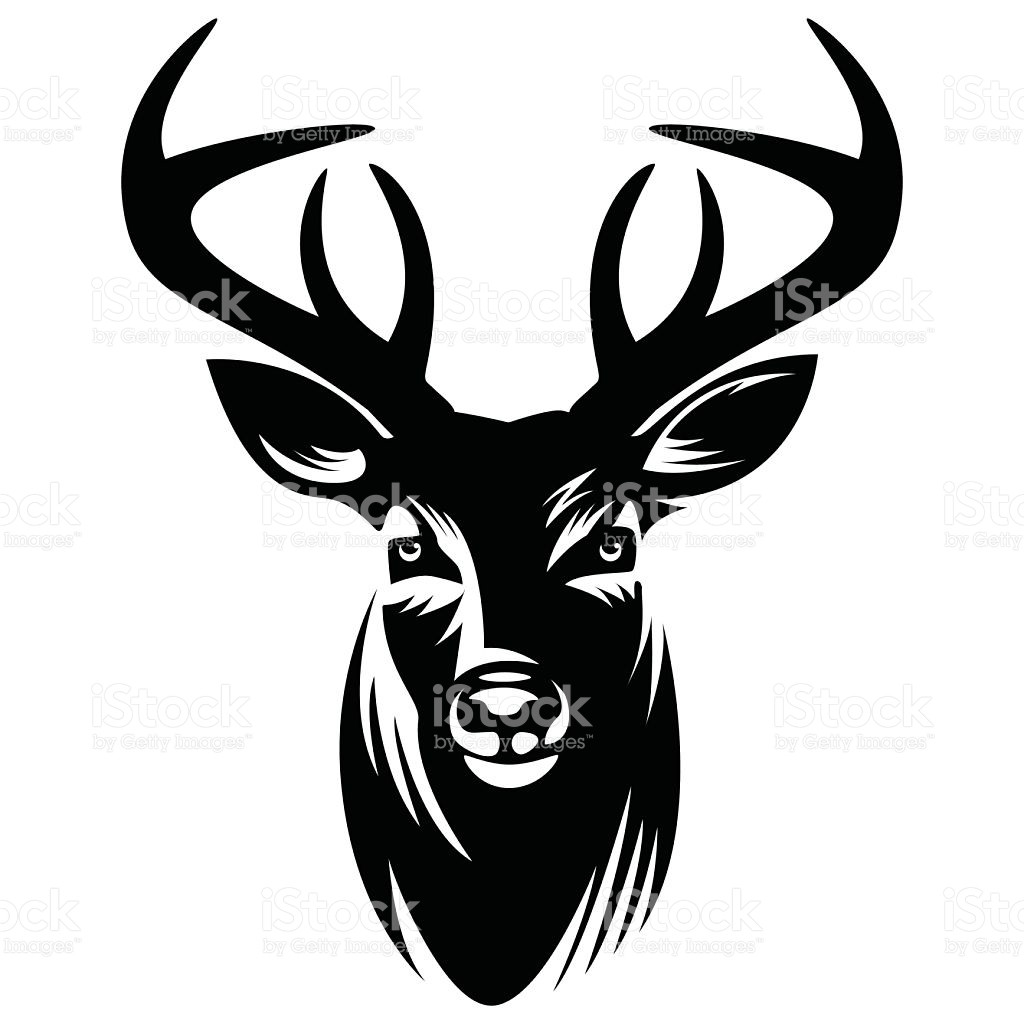 1024x1024 Deer Vector Illustration Stock Art More Images Of Showy Skull