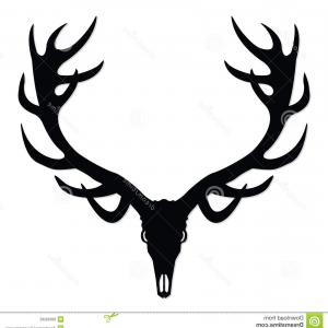 300x300 Human And Animal Skulls Vector Pack Arenawp