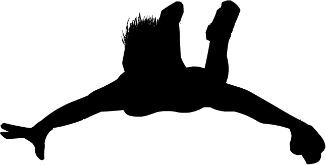 646x327 Skydiver Silhouette By Soursprite
