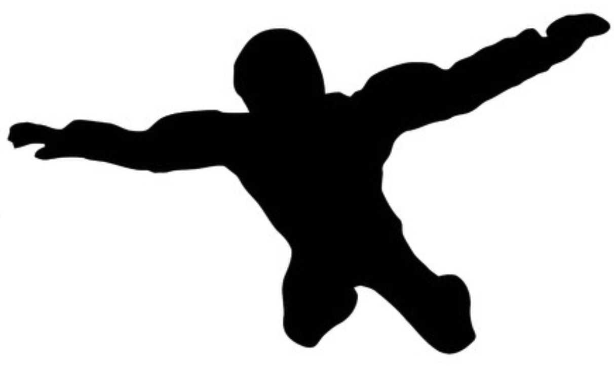 1212x724 Guest Speaker David Loy How To Fall From An Airplane Feb 19th