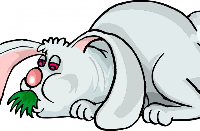 640x420 Tag For Cute Rabbit Clipart Sleeping Rabbit Clipart Clipground