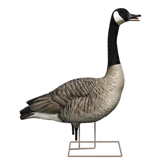 560x560 Goose Decoys