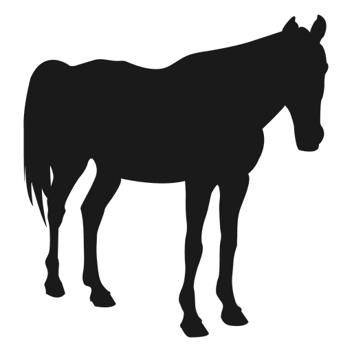 512x512 Horse Sleeping Silhouette