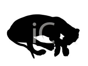 300x225 Of A Sleeping Tiger