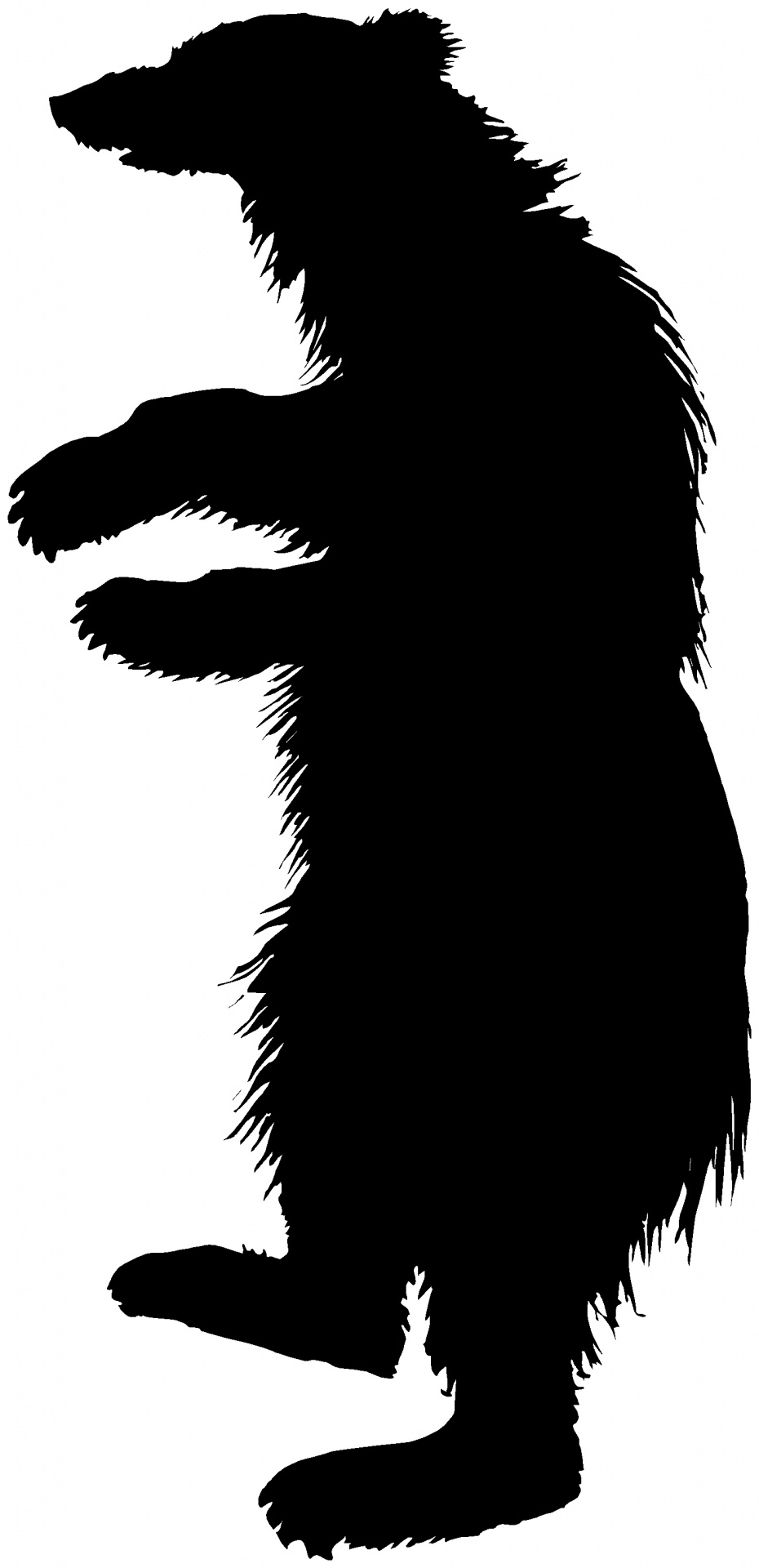 930x1920 Silhouette Of An Animal Free Stock Photo
