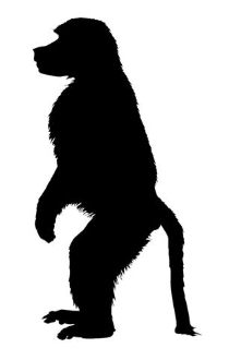 210x330 Monkey Silhouette 3 Decal Sticker
