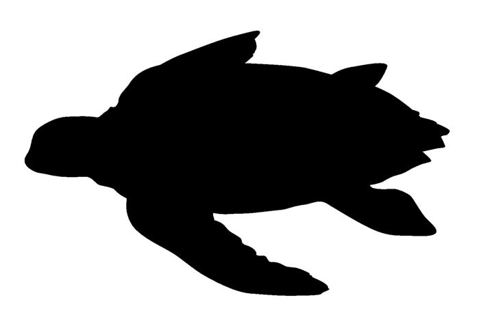 711x480 Sea Turtle Silhouette Decal Sticker