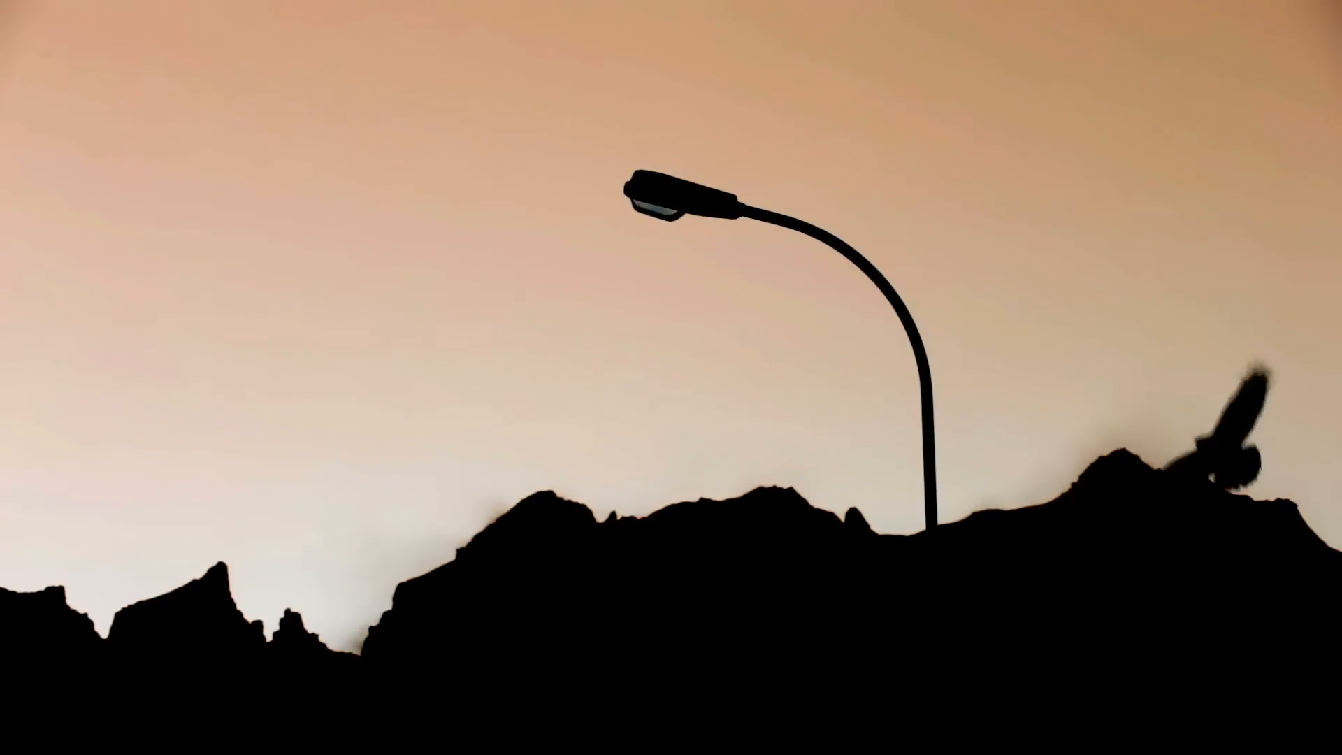 1920x1080 Silhouette Of Raven Perchingnd Small Birds Flying In